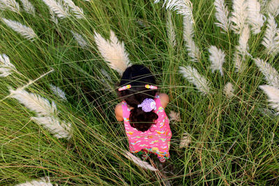 High angle view of girl standing amidst pampas grass on field