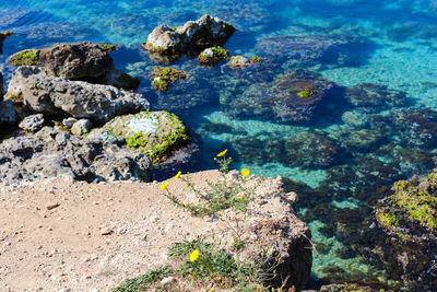 View of sea and rocks