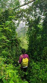 Rear view of woman sitting in the forest