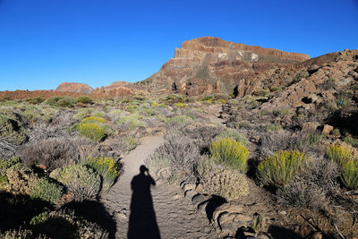 Shadow of clear blue sky