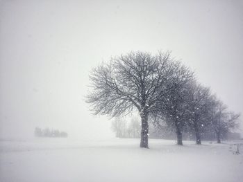 Trees on snow covered landscape against clear sky