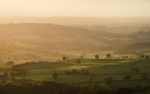 Scenic view of agricultural landscape against sky