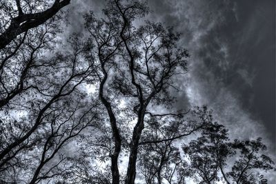 Low angle view of bare tree against cloudy sky