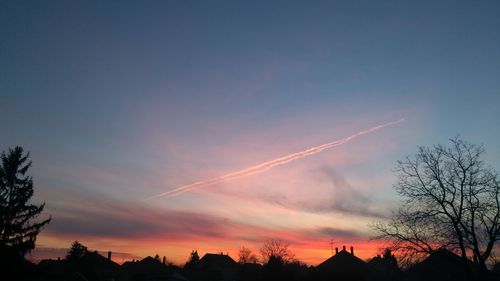 Silhouette trees against sky during sunset