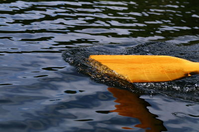 Cropped image of oar in river