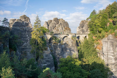 Plants growing on rock against sky