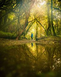 Reflection of woman and trees on puddle in forest