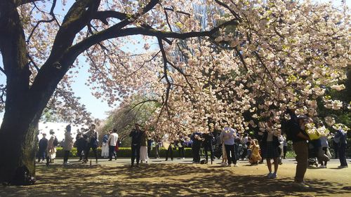 Group of people in park