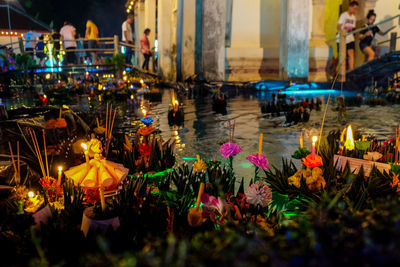 Illuminated flowers at night