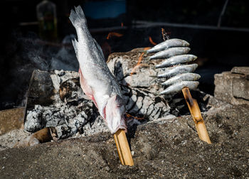 Close-up of fish roasting on fire