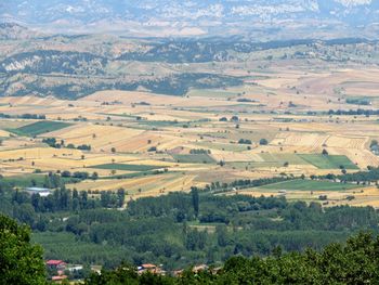 High angle view of agricultural field