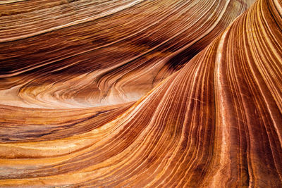 Full frame shot of wood