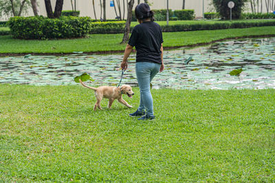 Rear view of man with dog on grass