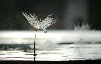 Close-up of splashing water