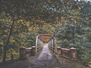 Footbridge amidst trees in forest