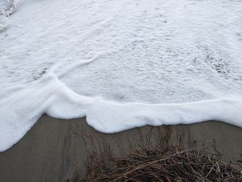 Close-up of beach