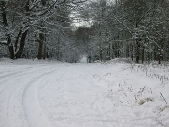 Tire tracks on snow during winter