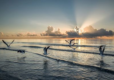 Scenic view of sea against sky during sunset