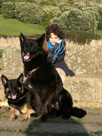 Low section of dog standing outdoors