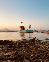 Scenic view of sea against clear sky