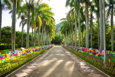 Panoramic shot of palm trees in park