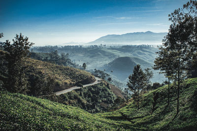 Scenic view of agricultural landscape against sky