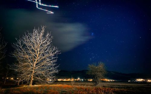 Firework display over trees against sky at night