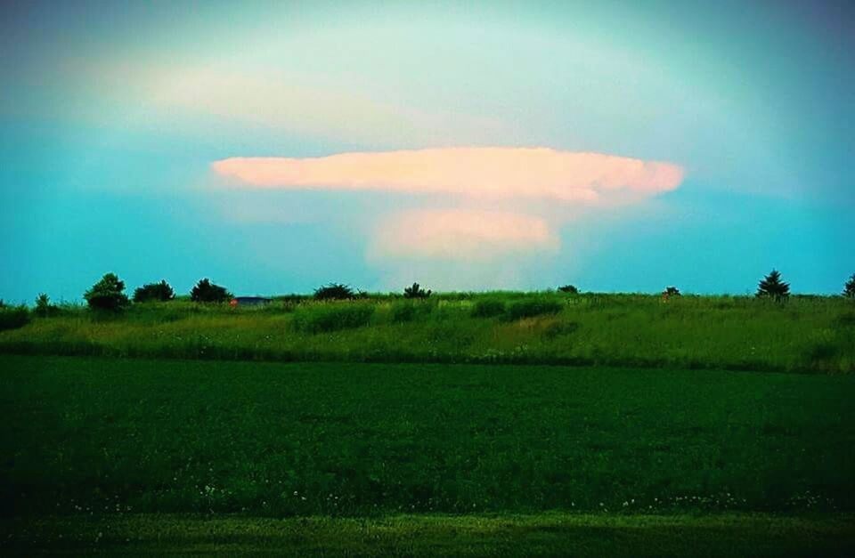 SCENIC VIEW OF GRASSY FIELD AGAINST SKY