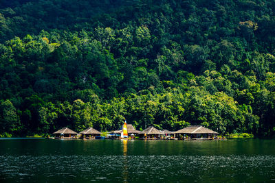 Scenic view of lake against trees in forest