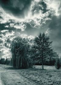 Scenic view of landscape against cloudy sky