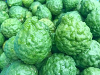 Full frame shot of green bergamot background 