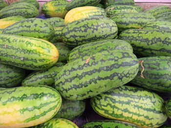 Full frame shot of watermelon for sale at market stall