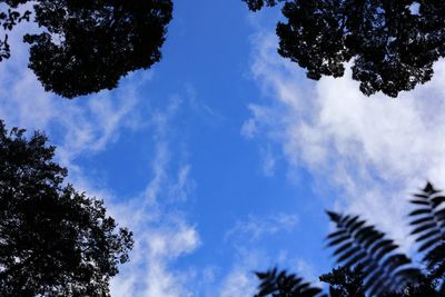 Low angle view of trees against blue sky