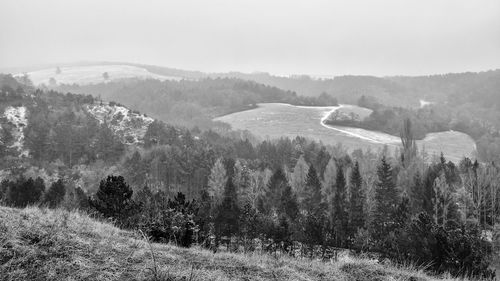 Scenic view of forest against sky during winter