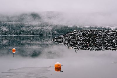 Snow covered rocks, lake and forest with buoys in the water