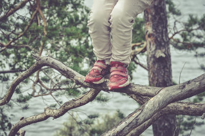 Low section of person standing on tree trunk