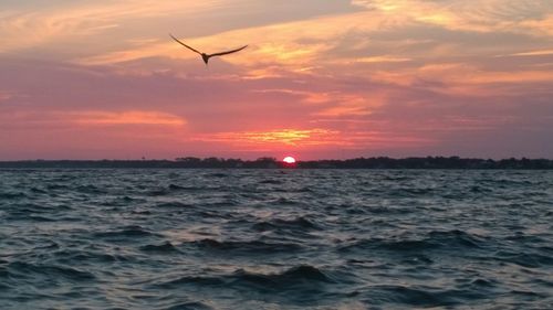 Silhouette bird flying over sea against sky during sunset