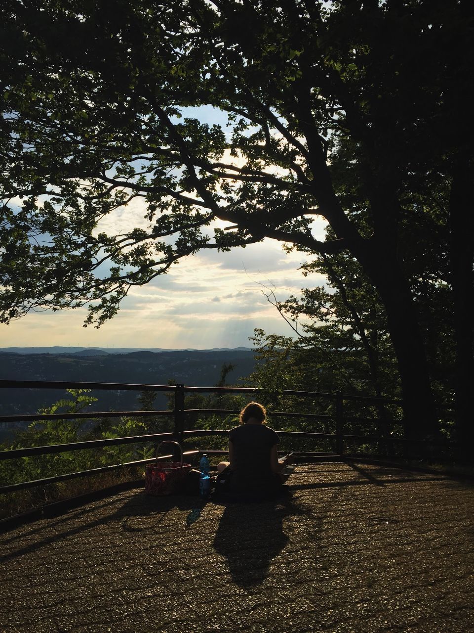 REAR VIEW OF PEOPLE SITTING ON LANDSCAPE AGAINST TREES