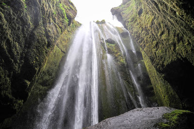 Scenic view of waterfall in forest