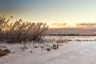 Frozen landscape against sky during winter