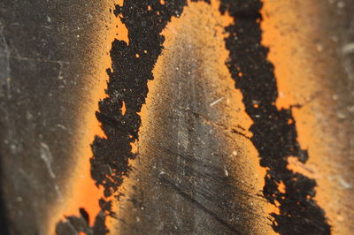 Close-up of water against sky during sunset