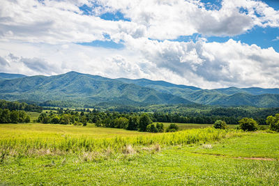 Scenic view of landscape against sky