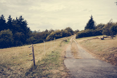 Dirt road passing through landscape