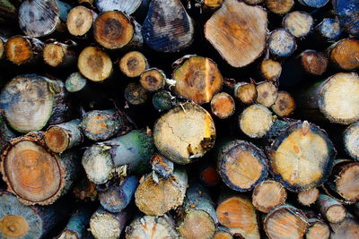 Full frame shot of logs