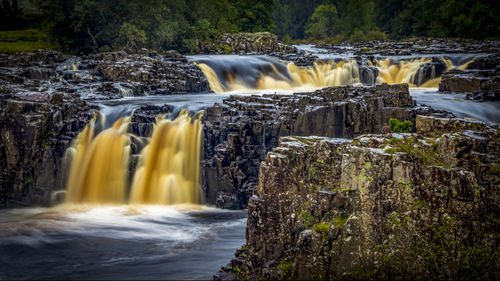 Scenic view of waterfall in forest