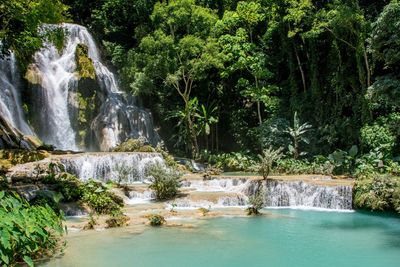 View of waterfall in forest