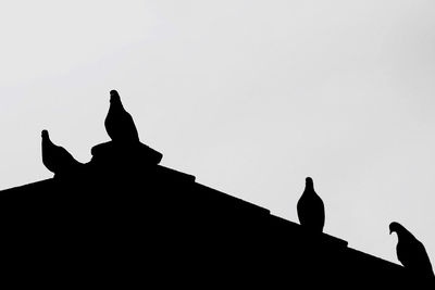 Silhouette birds perching on statue against sky