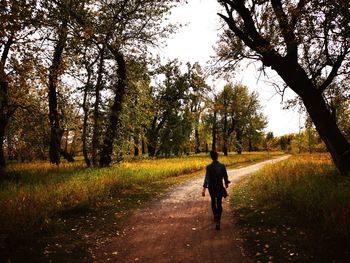 Rear view of man walking on footpath