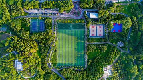 Directly above shot of playing fields amidst green trees