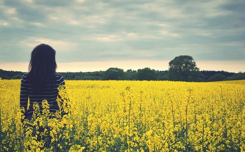 Scenic view of oilseed rape field against sky